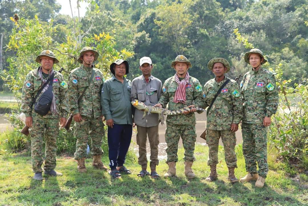 សត្វក្រពើភ្នំជិតផុតពូជលើពិភពលោក ត្រូវបានប្រជាពលរដ្ឋបហរទះឃើញ ក្នុងតំបន់ឧទ្យានជាតិជួរភ្នំក្រវាញខាងត្បូង