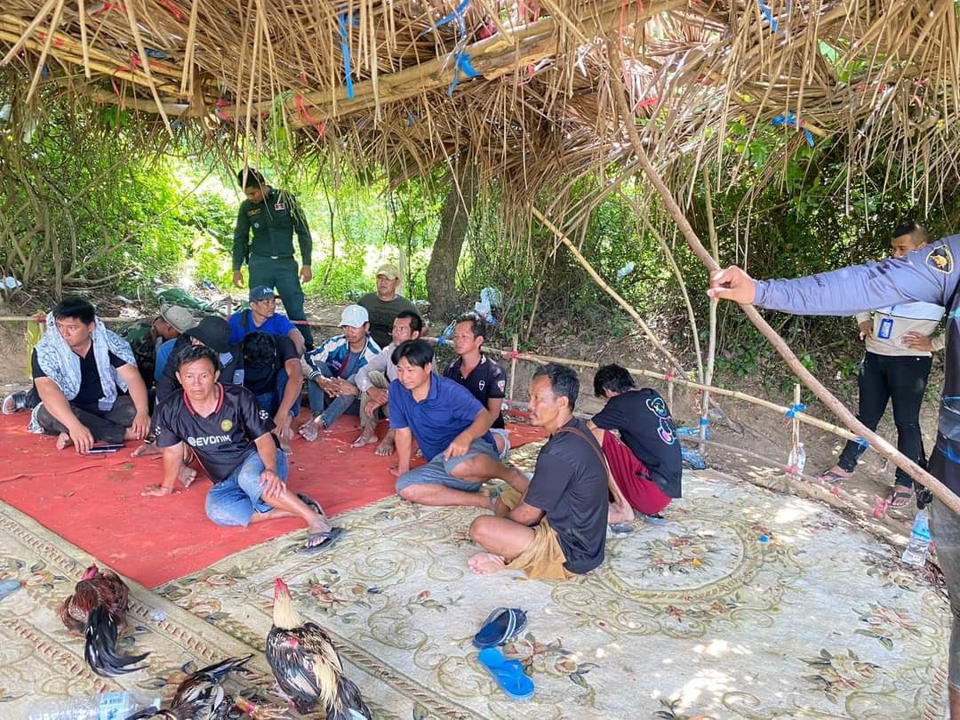 នគរបាលក្រុងបាត់ដំបង ឆ្មក់បង្ក្រាបសង្វៀនជន់មាន់ដុះស្លែ ប្រមូលក្រុមអ្នកញៀនល្បែងជល់មាន់ ចំនួន ១៩នាក់ អនុវត្តន៍តាមច្បាប់