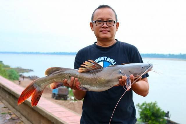 មន្ត្រីជំនាញមជ្ឈមណ្ឌលស្រាវជ្រាវ សាកល្បងបង្កាត់ពូជត្រីខ្យា នៅខេត្តស្ទឹងត្រែង