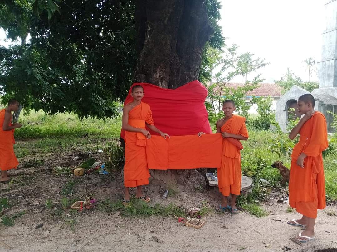 អ្នកមានឥទ្ធិពលម្នាក់ ប៉ុងប៉ងគាស់យកដើមទន្លាប់ ០១ដើម ដែលមានអាយុកាលជាង ២០០ឆ្នាំ ក្នុងវត្តសោម ខណៈព្រះសង្ឃ និងពុទ្ធបរិស័ទស្នើឲ្យរក្សាទុកជាកេរ្តិ៍ដំណែលសម្រាប់ក្មេងៗជំនាន់ក្រោយបានស្គាល់