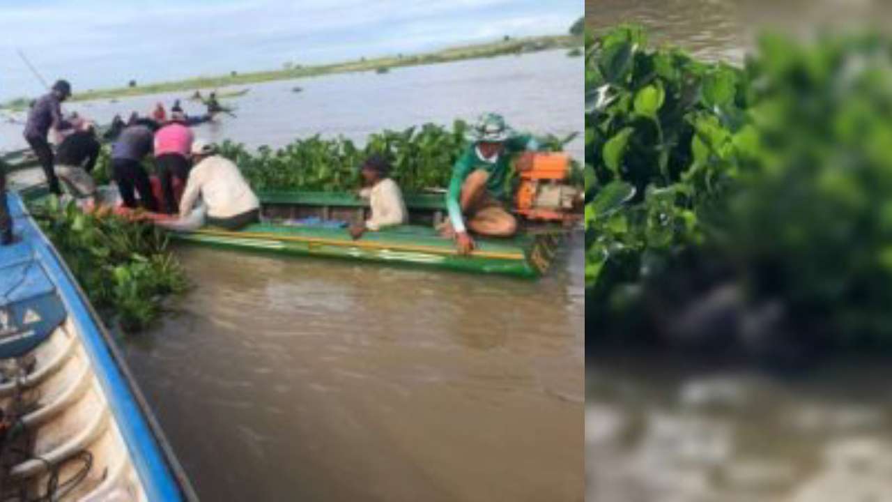 Update សពប្ដីលិចកាណូតបាឡាស្មាច់ក្នុងទន្លេនៅស្រុកកំពង់លែង សមត្ថកិច្ចរកឃើញហើយ