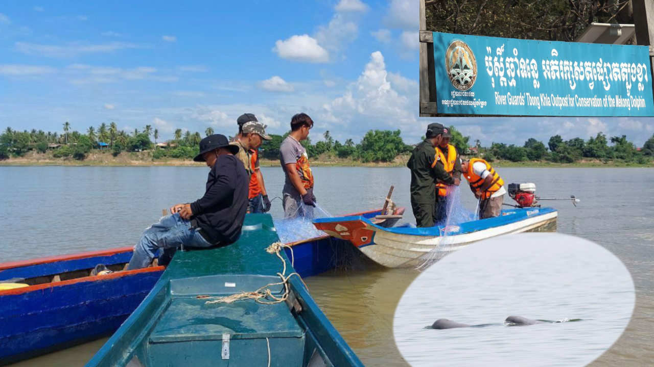 អ្នកនេសាទនៅតែបន្តលបលួចនេសាទ ក្នុងអន្លង់អភិរក្សសត្វផ្សោត ក្នុងដងទន្លេមេគង្គស្ទឹងត្រែង ដែលជាតំបន់អភិរក្ស
