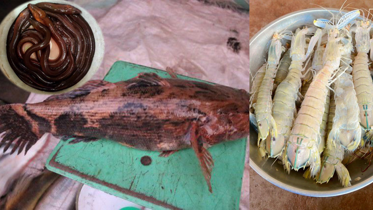 ជលផលកម្ពុជា បានបញ្ចប់នីតិវិធីការនាំចេញទៅទីផ្សារប្រទេសចិន