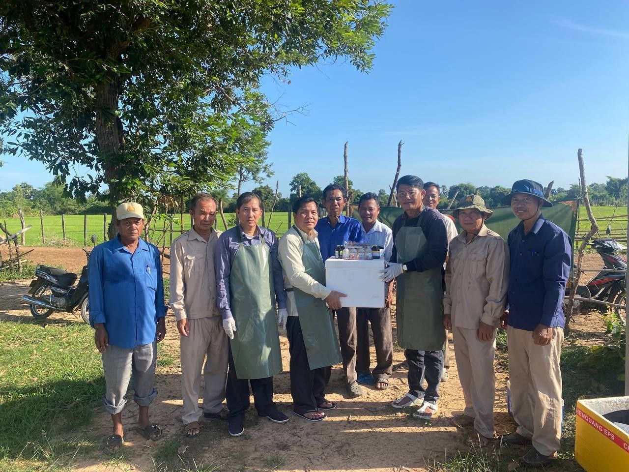 គិតមកទល់ពេលនេះ! ការចុះអនុវត្តផែនការចាក់វ៉ាក់សាំងការពារជំងឺឆ្លងលើសត្វគោ ក្របី ទូទាំងខេត្តកំពង់ធំ សម្រេចបាន៣២ភាគរយ
