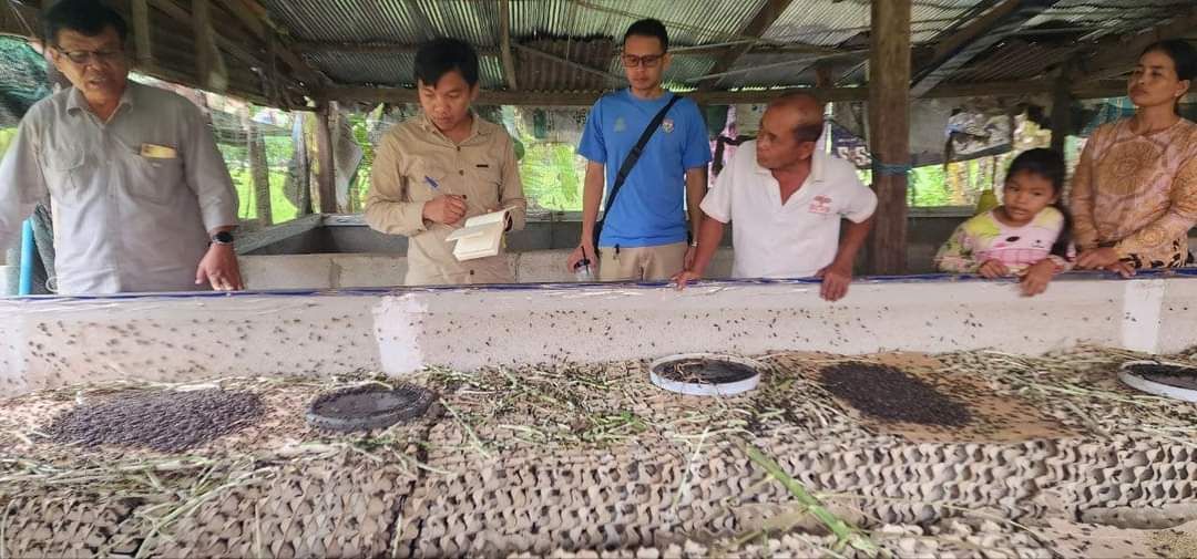 ប្រជាពលរដ្ឋក្នុងឃុំដងទង់ ស្រុកដងទង់បានបោះបង់មុខរបរចិញ្ចឹមចង្រិតដោយសារកង្វះការគាំទ្រផ្នែកបច្ចេកទេស