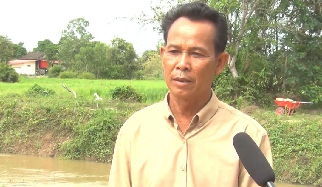 ប្រជាកសិកនិងកសិផលធ្វើដំណាំស្រូវក្នុងស្រុកបន្ទាយមាសមានទិន្នផលខ្ពស់និងមានទីផ្សារបានល្អជាងឆ្នាំនេះ