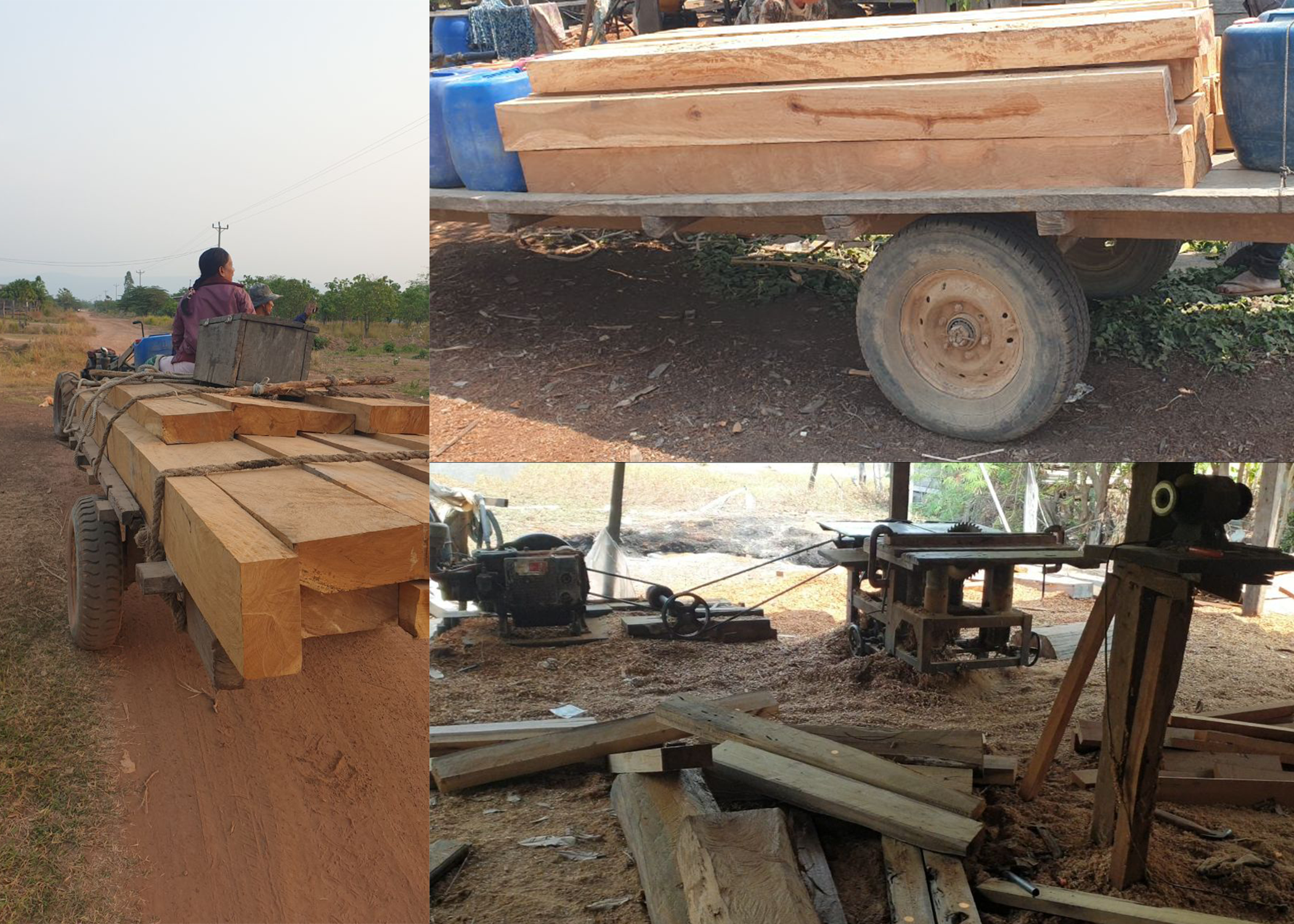 រោងសិប្បកម្មកែច្នៃឈើអត់ច្បាប់ជាច្រើនកន្លែងស្ថិតនៅចំណុច ភូមិត្រពាំងប្រាសាទ ដែលគេសង្ស័យថា មានការបើកភ្លើងខៀវពីមន្ដ្រីជំនាញ