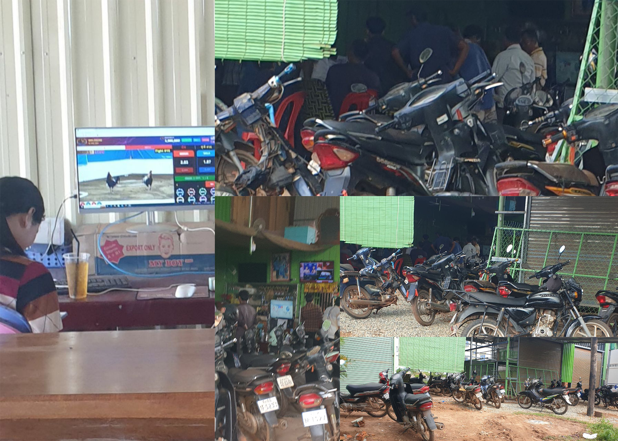 ទីតាំងបនល្បែងស៊ីសងខុសច្បាប់ជល់មាន់តាមប្រព័ន្ធទូរទស្សន៍អនឡាញ ជ្រកក្រោមអាជ្ញាប័ណ្ណឆ្នោតឡូតូ ជាច្រើនរីកដូចផ្សិត ស្រុកត្រពាំងប្រាសាទមើលមិនឃើញ