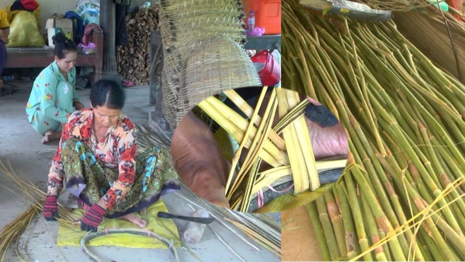 ប្រជាពលរដ្ឋដែលប្រកបរបរធ្វើបង្គីខេត្តកំពតដោយសារគ្មានការគាំទ្រនៅផ្នែកទីផ្សារបានចង់បោះបង់