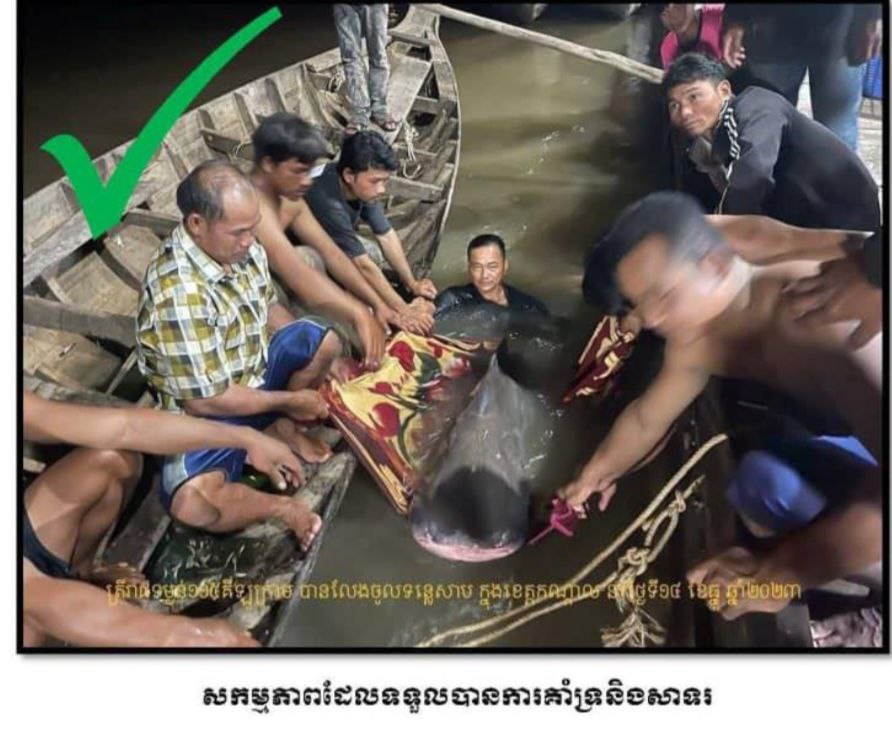 រដ្ឋបាលជលផល អំពាវនាវដល់បងប្អូន ដែលកំពុងចិញ្ចឹមត្រី ឬវារីសត្វមានប្រភពពីក្រៅប្រទេស សូមថែរក្សាឲ្យបានខ្ជាប់ខ្ជួន ចៀសវាងលែងចូលក្នុងដែនទឹកធម្មជាតិ
