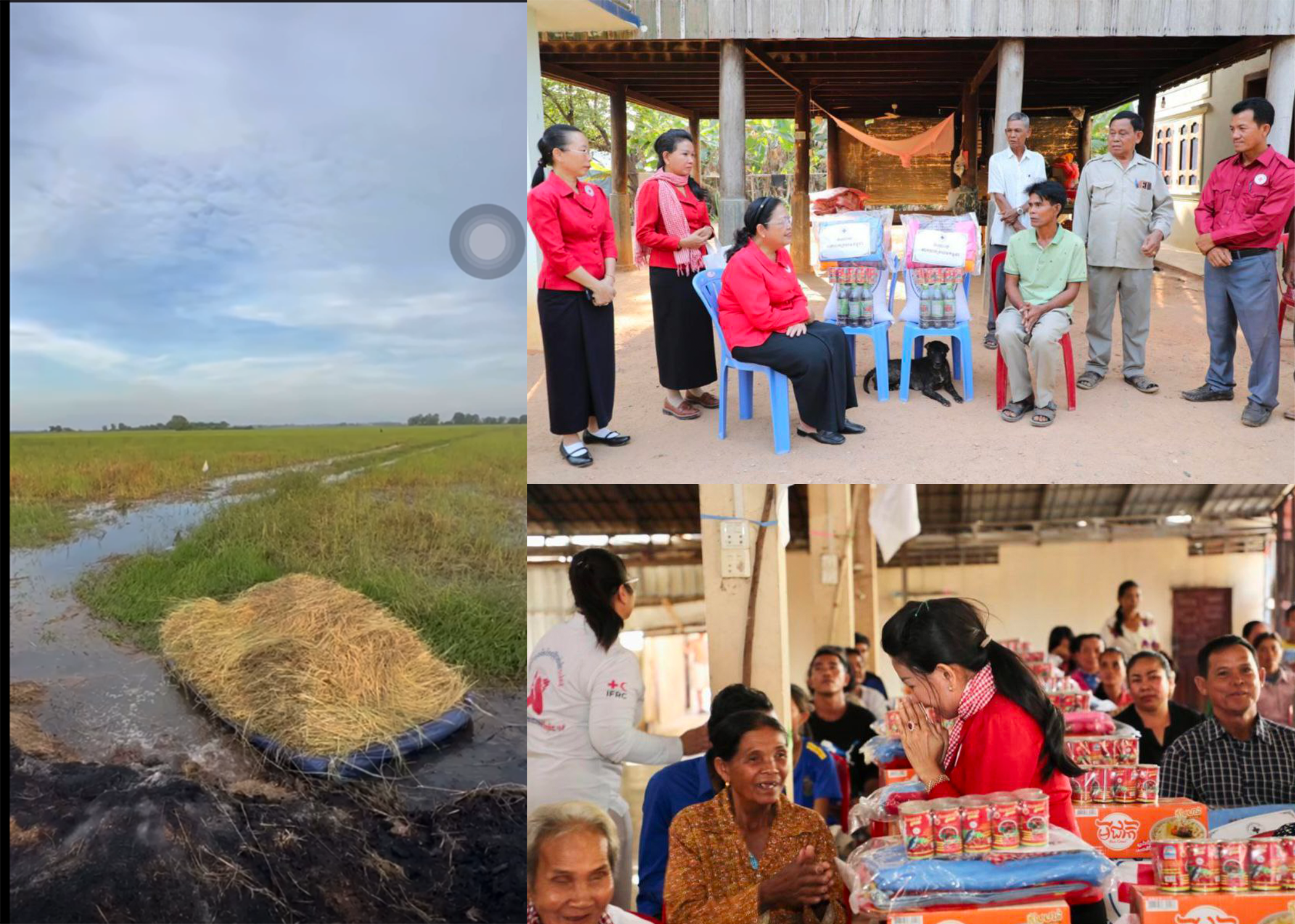 កសិកររងគ្រោះដោយភ្លើងឆេះស្រូវនៅស្រុកគិរីវង់ ពេលនេះទទួលបានយុត្តិធម៌ហើយ និងមានការផ្តល់ជាអំណោយ ពីសម្តេចកិត្តិព្រឹទ្ធបណ្ឌិតប៊ុនរ៉ានី ហ៊ុនសែន