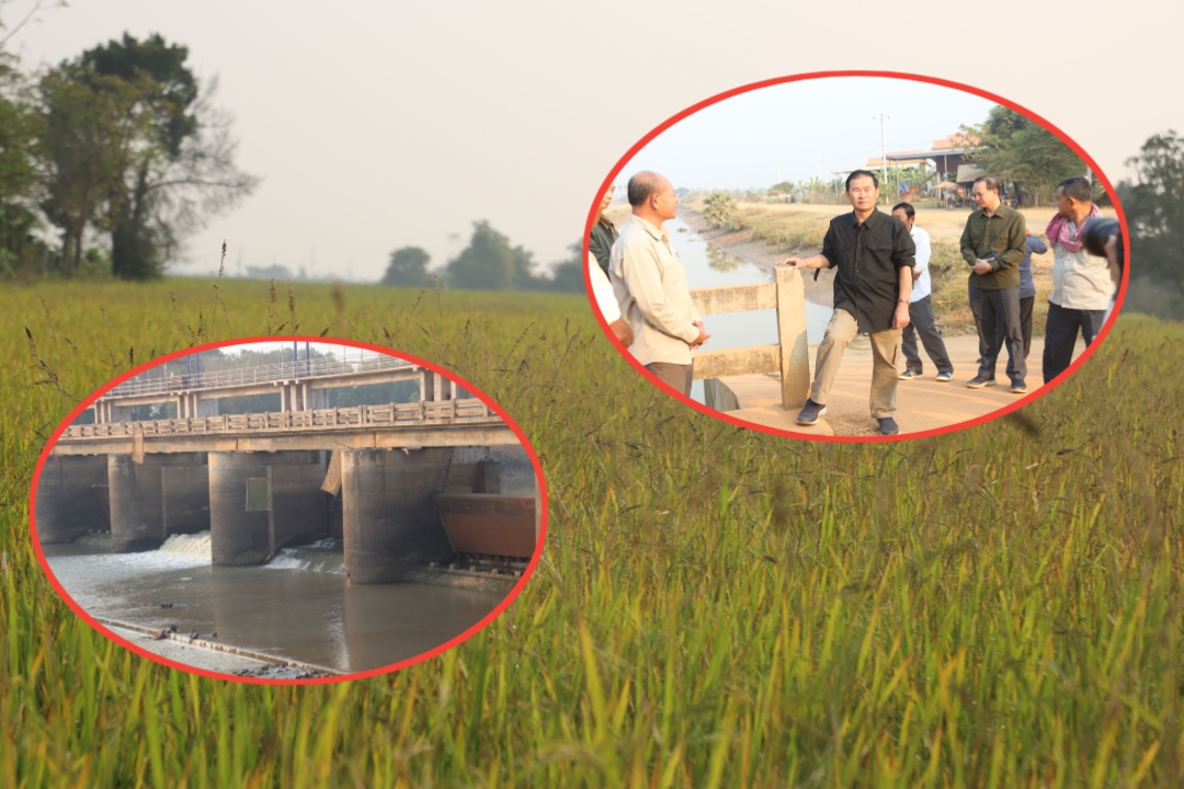 ផ្ទៃដីដំណាំស្រូវប្រាំងប្រមាណជាង ៣ ០០០ហិតា ក្នុងស្រុកកណ្ដៀង ខេត្តពោធិ៍សាត់ ត្រូវបានជួយសង្គ្រោះ