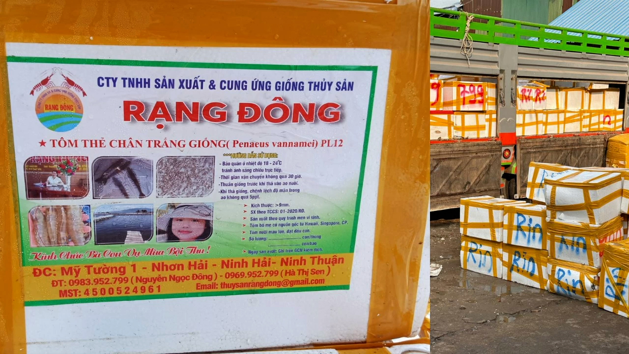 មន្រ្តីជំនាញរកឃើញបង្គារចាក់ចាហួយជាង ៤ពាន់គីឡូក្រាម នៅតំបន់ត្រឡោកបែក រាជធានីភ្នំពេញ ខណៈពិធីបុណ្យចូលឆ្នាំចិនជិតចូលដល់