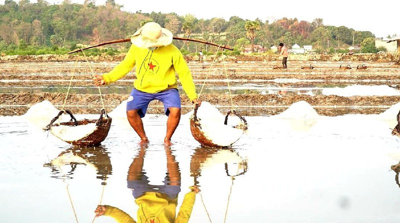 ខេត្តកែបនៅក្នុងដើមខែមករាឆ្នាំ២០២៤ ទិន្នផលប្រមូលអំបិលបានជាង ៣០០តោន មានការកើនឡើងខ្ពស់