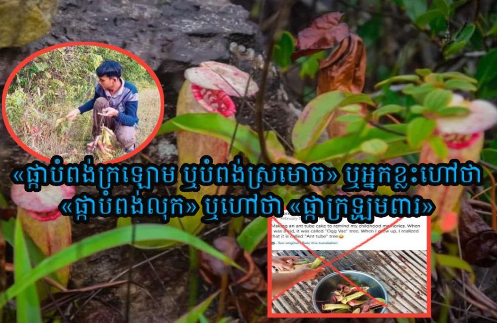មន្ត្រីជាន់ខ្ពស់នៃក្រសួងបរិស្ថានស្នើឱ្យបញ្ឈប់ការផ្សព្វផ្សាយមាតិកាជំរុញឱ្យមានការបំផ្លាញធនធានធម្មជាតិ