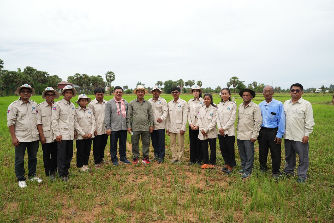 មន្ត្រីជាន់ខ្ពស់ក្រសួងកសិកម្ម បានអះអាងថា៖ «បន្ទាប់ពីបាញ់ថ្នាំកញ្ចាត់ដង្កូវ ដំណាំស្រូវដែលការបំផ្លិចបំផ្លាញដោយហ្វូងសត្វដង្កូវ និងលូតលាស់ធម្មតា ដោយសារមានភ្លៀងធ្លាក់ជាបណ្តើរៗ»