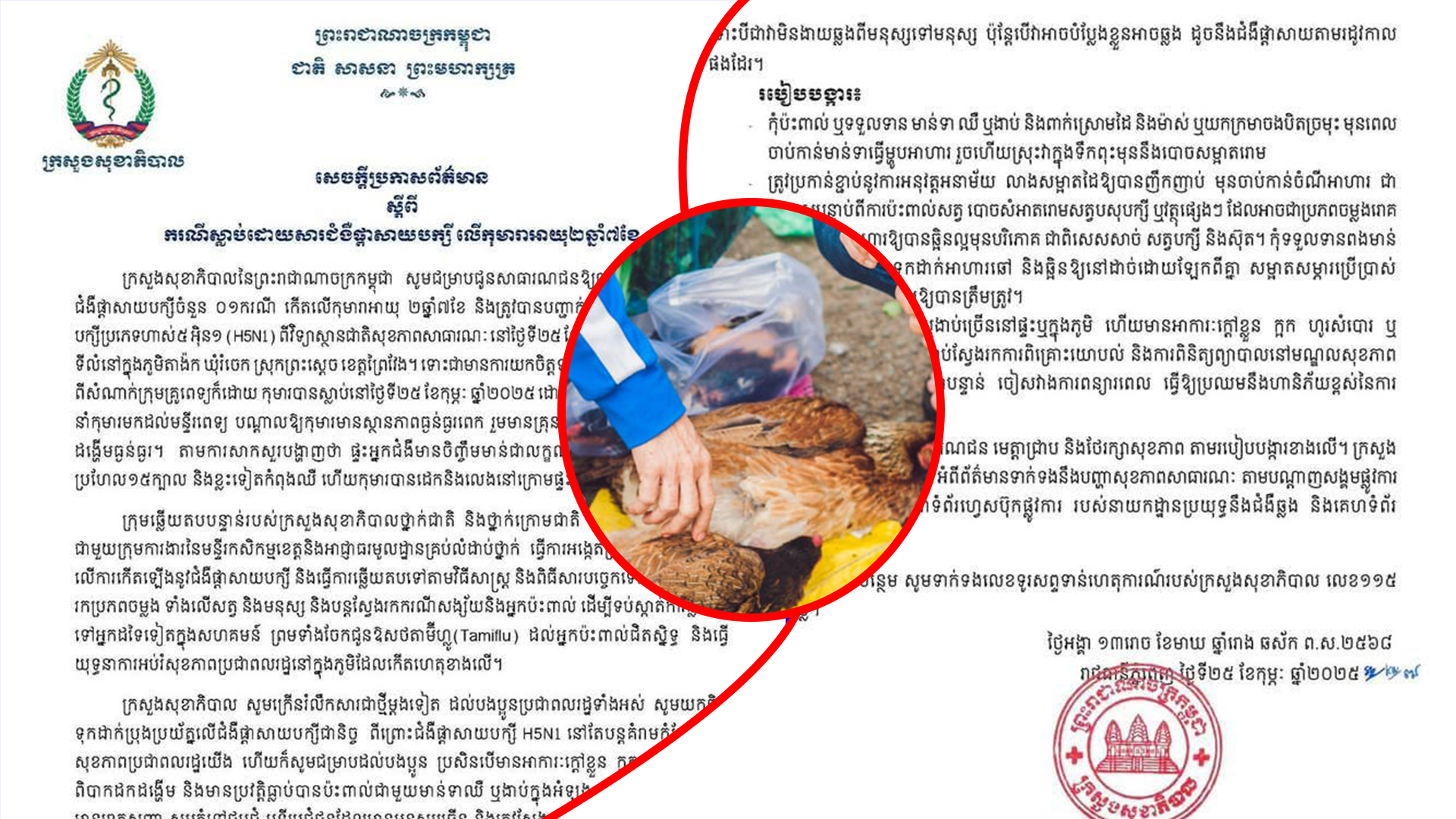សូមប្រុងប្រយ័ត្ន! កុមារអាយុជាងពីរខួបម្នាក់នៅខេត្តព្រៃវែងស្លា.ប់ដោយសារជំងឺផ្តាសាយបក្សី H5N1