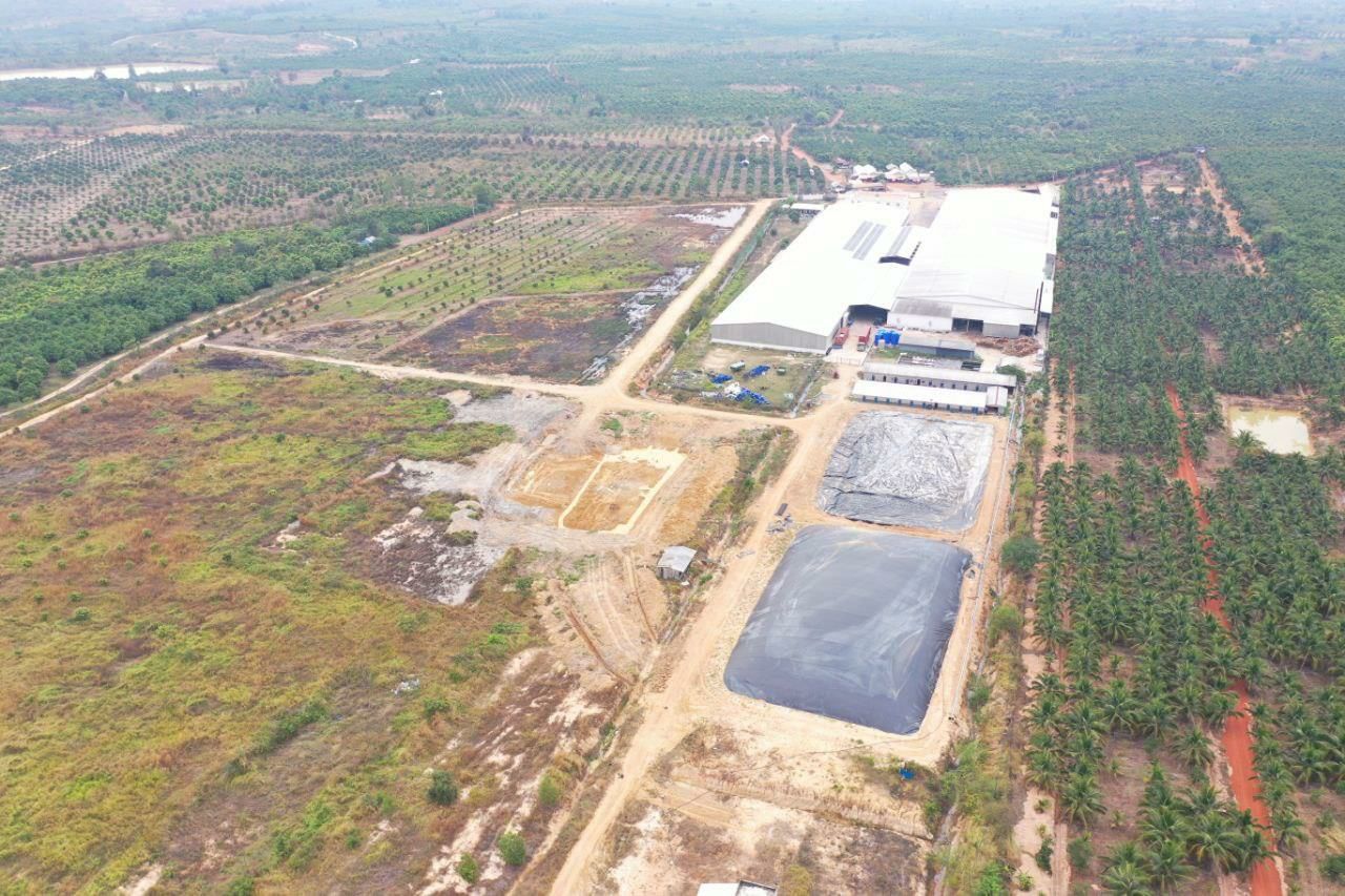 ពលរដ្ឋនៅក្បែររោងចក្រផលិតដំណាប់ស្វាយរបស់ក្រុមហ៊ុន KRR Processing Food ក្នុងខេត្តកំពង់ស្ពឺ បានរងផលប៉ះពាល់ដល់សុខភាព និងការរស់នៅដោយការបញ្ចេញសំណល់ រាវរបស់រោងចក្រ