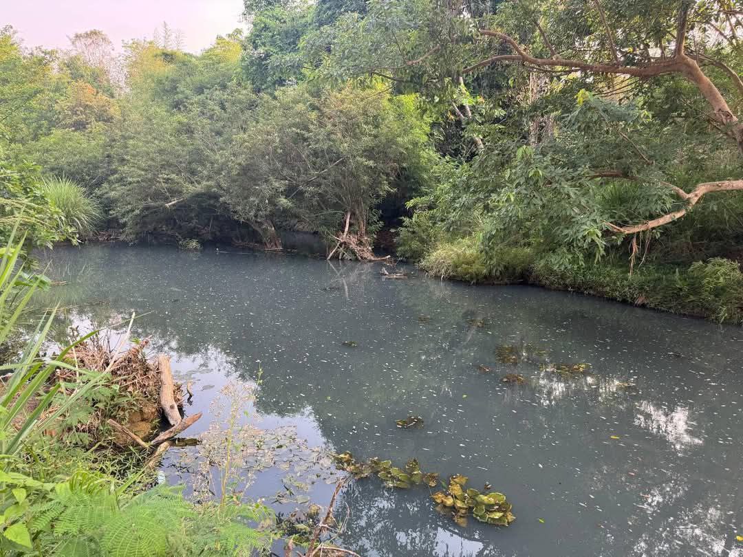 ក្រសួងបរិស្ថាន រកឃើញមានផលប៉ះពាល់ដល់ការរស់នៅរបស់ប្រជាពលរដ្ឋដោយសារការបញ្ចេញសំណល់រាវរបស់រោងចក្រកែច្នៃផ្លែឈើរបស់ ក្រុមហ៊ុន ប៉ៃសិងសេង ខេមបូឌា អិនដាសស្ទ្រី ខូអិលធីឌី