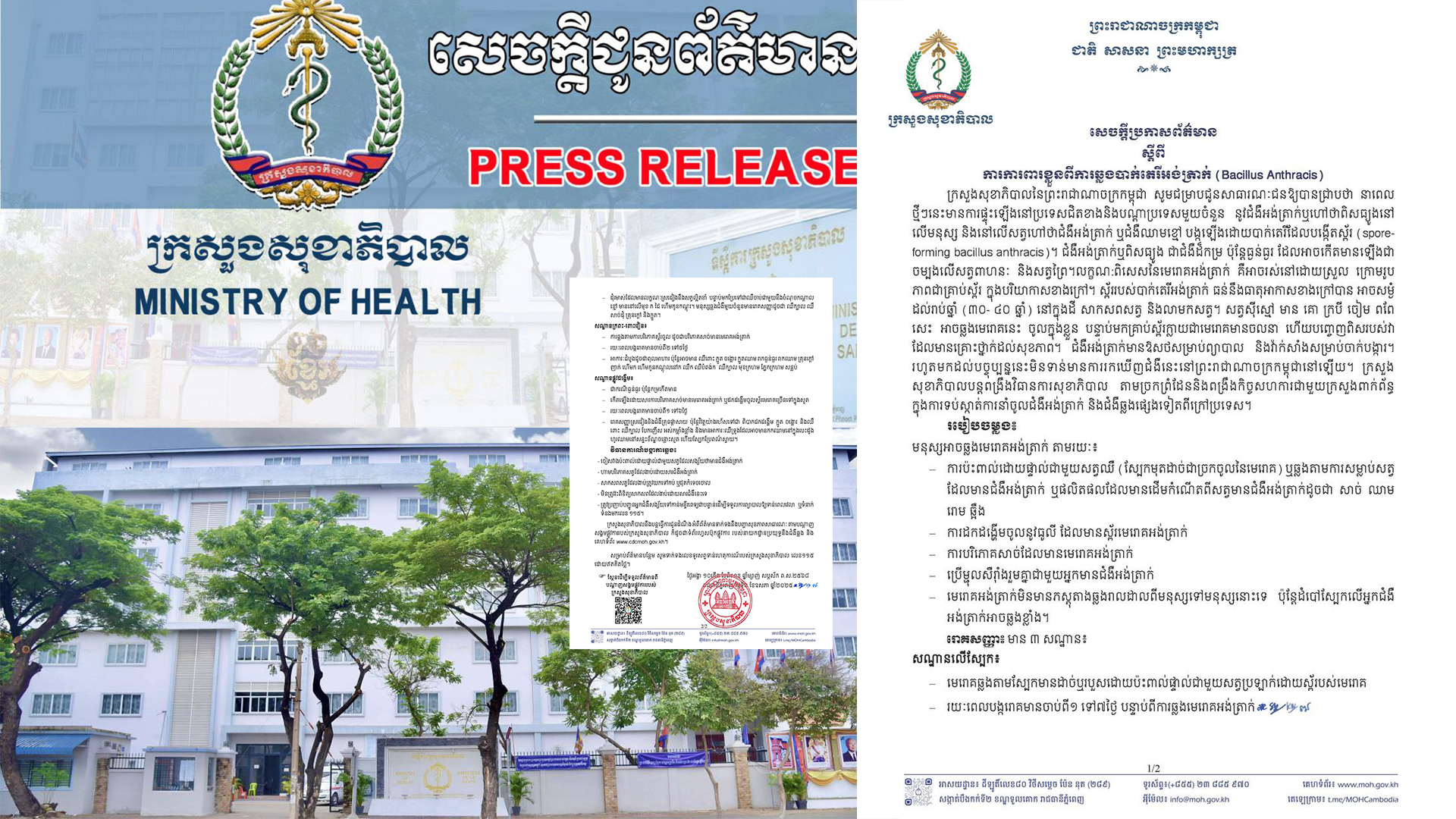 ក្រសួងសុខាភិបាល ប្រាប់ពីការការពារខ្លួនពីការឆ្លងពិសធ្យូង ឬឈាមខ្មៅពីសត្វ ខណៈនៅកម្ពុជាមិនរកឃើញកើតមានឡើយ!