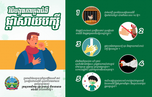 កុមារាអាយុ១១ឆ្នាំម្នាក់នៅខេត្តកំពុងស្ពឺស្លាប់ដោយសាជំងឺផ្តាសសាយបក្សី