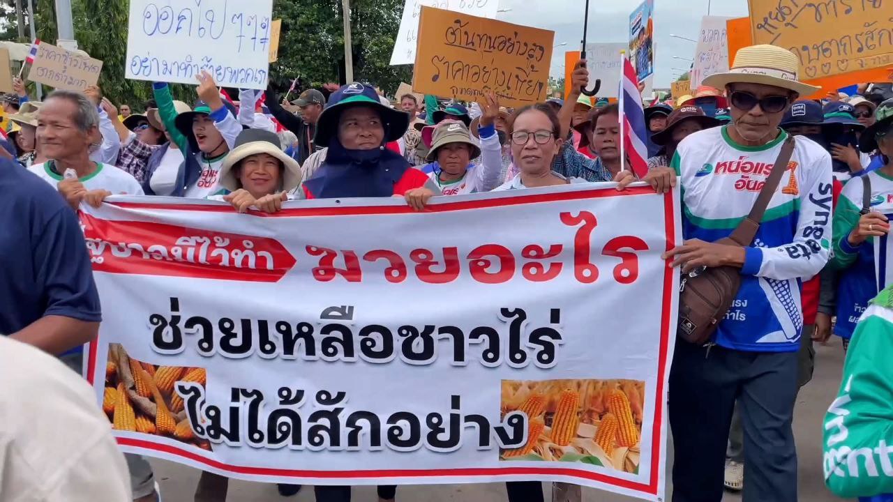 កសិករថៃផ្ទុះការតវ៉ាជាមួយរដ្ឋាភិបាលរបស់ពួកគេ ដោយសារតម្លៃកសិផលចុះថោក ហើយជី និងប្រេងឡើងថ្លៃ