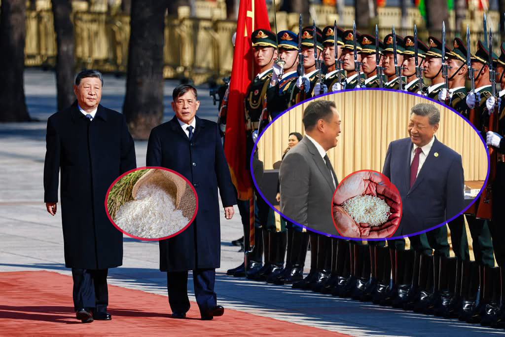 ក្រោយព្រះមហាក្សត្រថៃទៅដល់ចិនភ្លាម មិនចាំយូរ លោក ស៊ី ជីងពីង ស្រាប់តែប្រកាសទិញអង្ករថៃចំនួន ៥០ ម៉ឺនតោនតែម្ដង