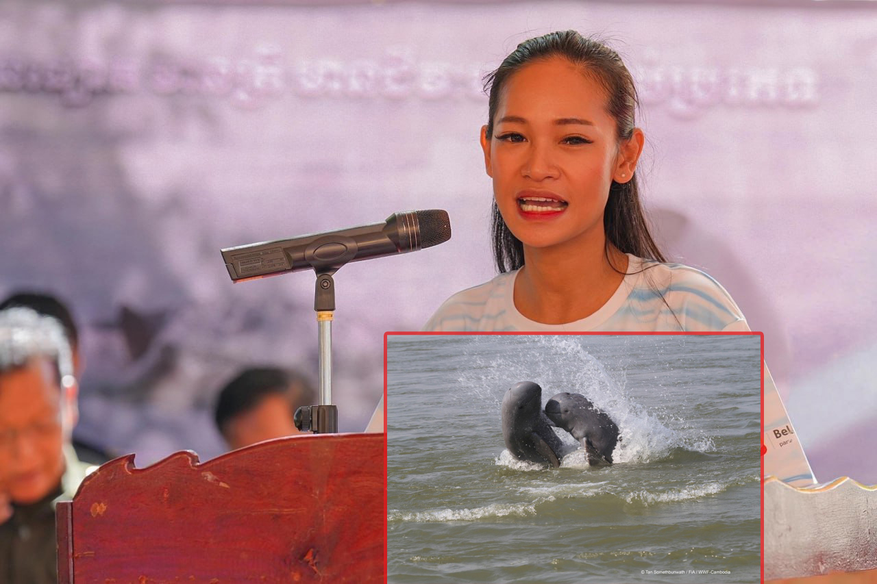 មន្ត្រីជាន់ខ្ពស់ក្រសួងកសិកម្ម៖ «កម្ពុជា ទទួលបានជោគជ័យជាប្រវត្តិសាស្រ្ត ដែលពុំមានករណីផ្សោតស្លាប់ពេញ១ឆ្នាំ គិតក្នុងកំណត់ត្រារយៈពេលជាង២០ឆ្នាំចុងក្រោយ»