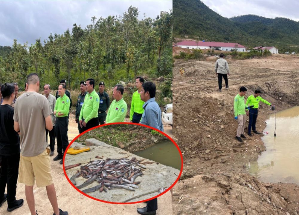 ក្រសួងបរិស្ថាន និងអាជ្ញាធរមូលដ្ឋាន កំពុងពិនិត្យដោះស្រាយ និងទប់ស្កាត់ករណី “ពុលត្រី” អូរធម្មជាតិក្នុងខេត្តកំពង់ឆ្នាំង