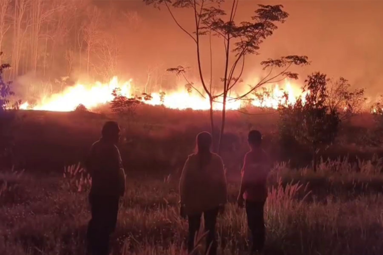 ថ្ងៃបុណ្យនៃក្ដីស្រឡាញ់ ថៃប្រឈមភ្លើងឆេះព្រៃដ៏សាហាវ ដែលបំផ្លាញលើផ្ទៃដីជាង ១ ០០០ហិកតា